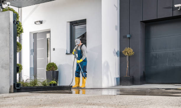 Best Roof Washing  in Borger, TX